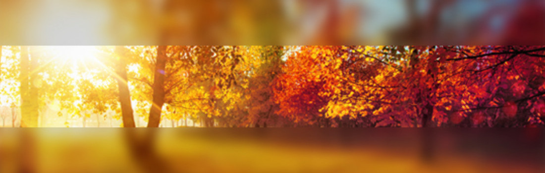 Luxembourg Autumn Perspectives Series Banner Image